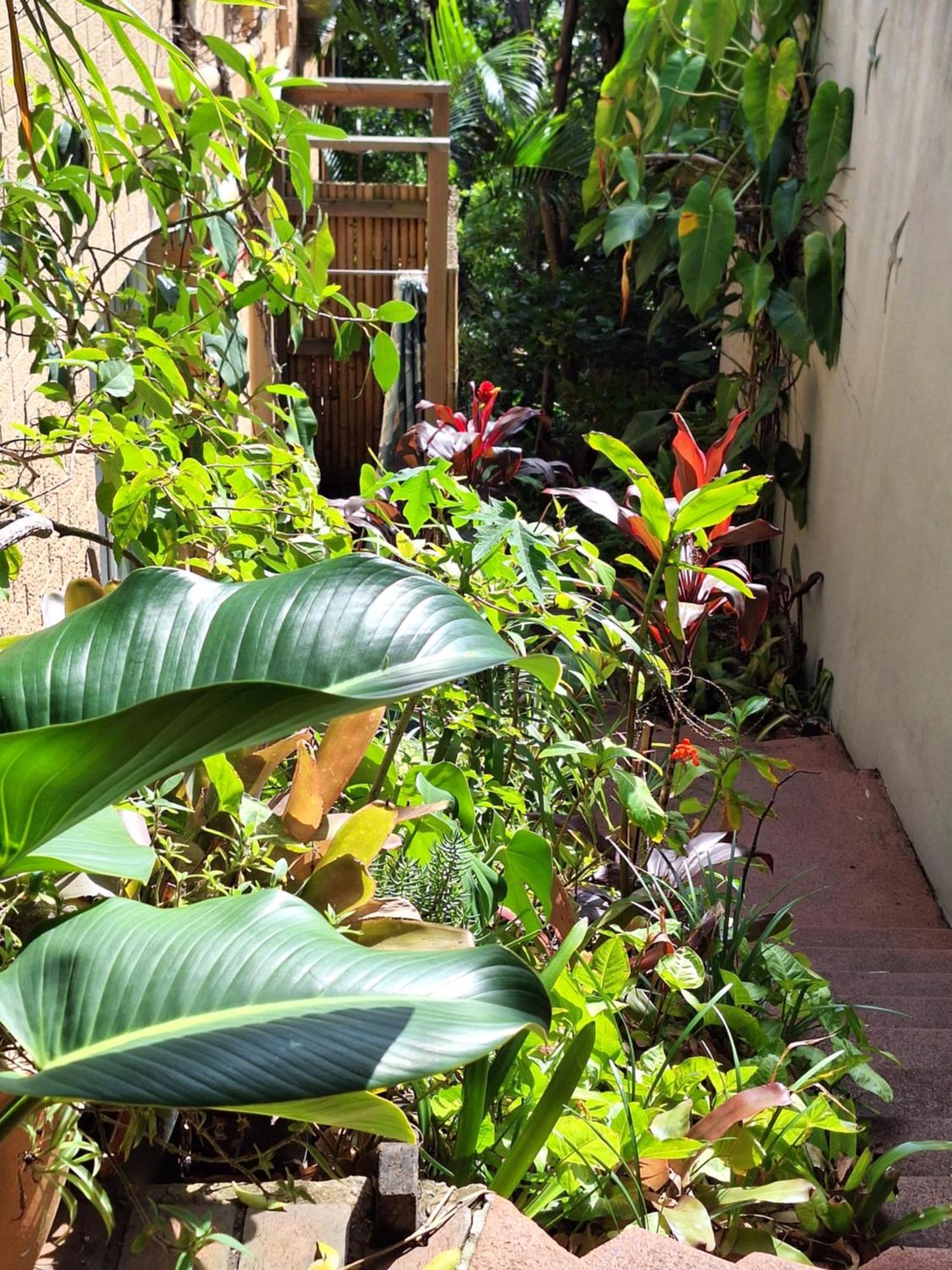 Ferienwohnung Wategosrent Byron Bay Exterior foto